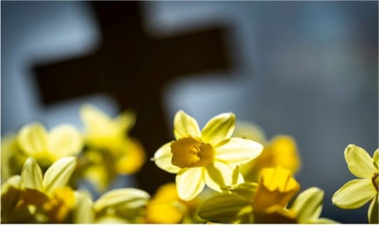 Stilla veckan och påsken i Betania